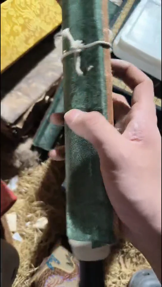 香榧木（1个绿色普通话）