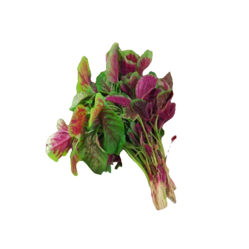 红苋菜约300克/份