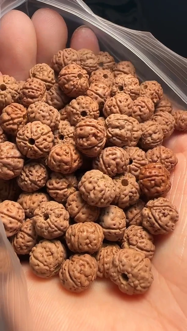 手串金刚菩提非全品老树王散籽9-10mm一份一百颗