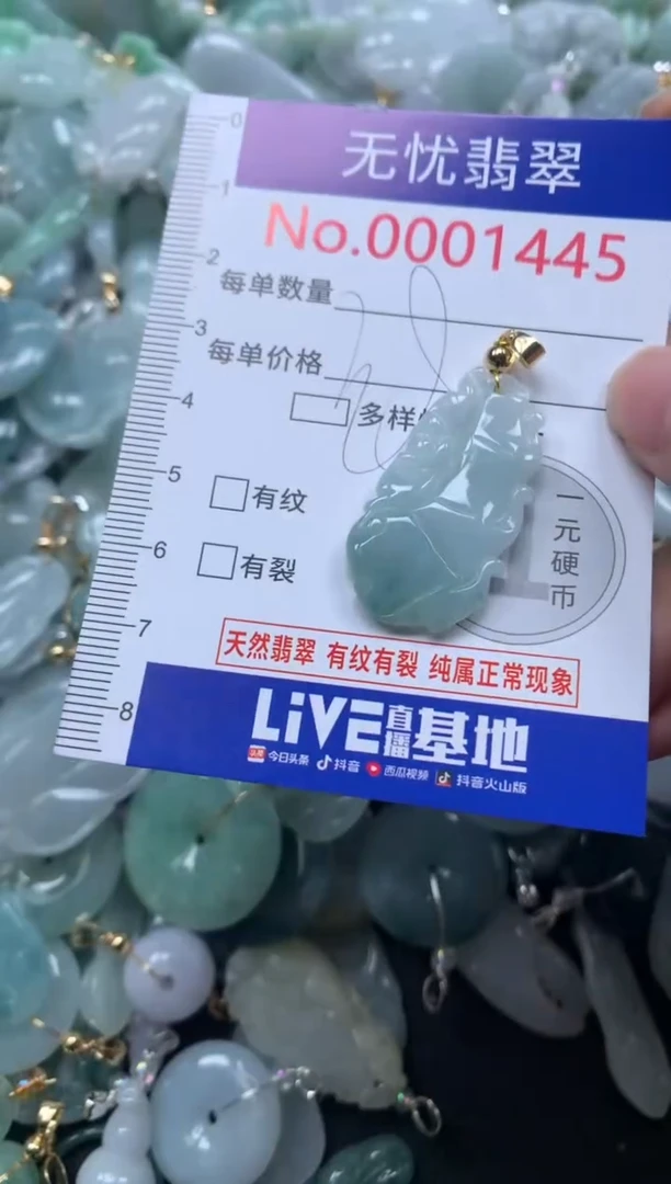 颈饰未镶嵌翡翠1445