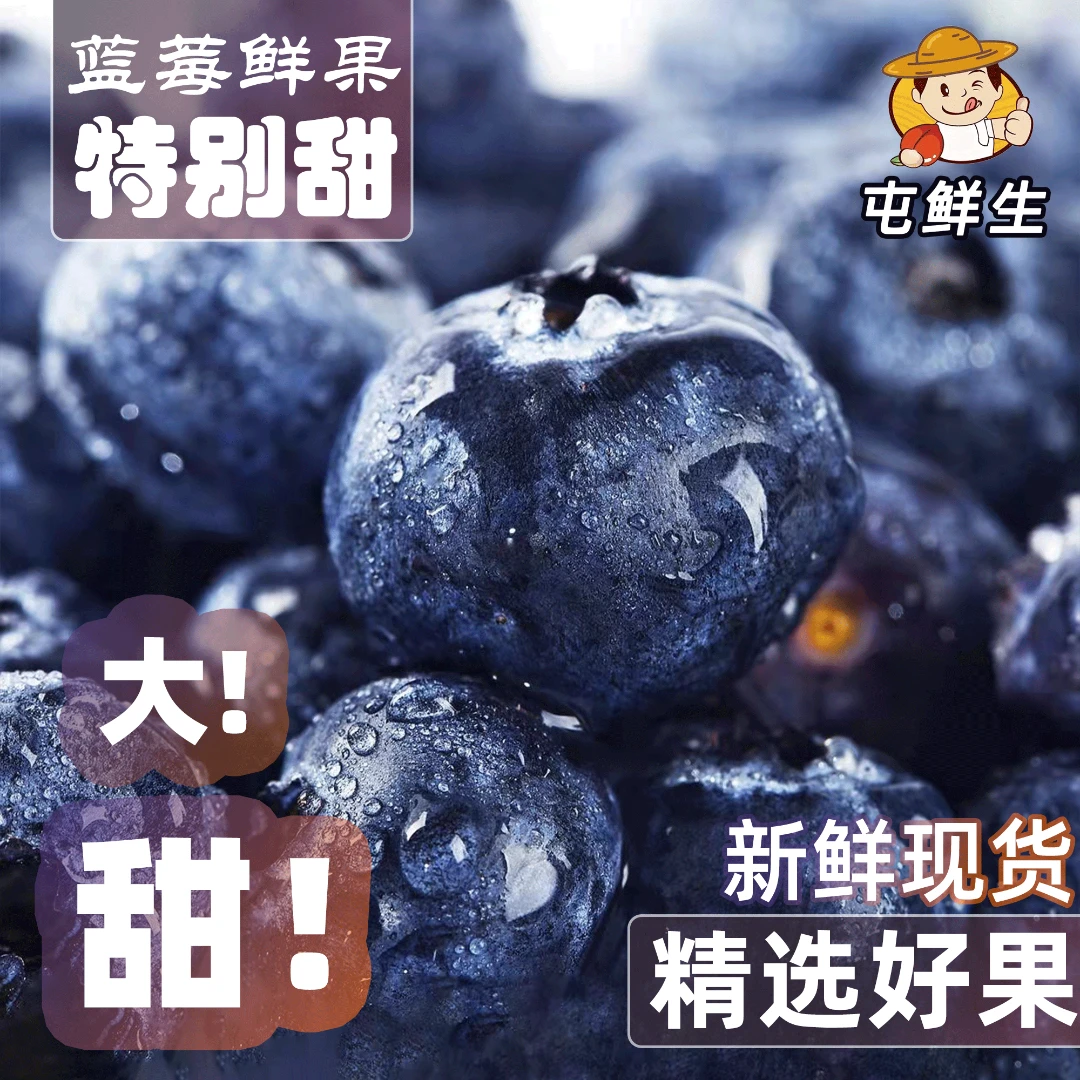 【特果20mm+】丹东蓝莓花香25纯甜果香浓郁应季鲜果125g/盒京东包邮
