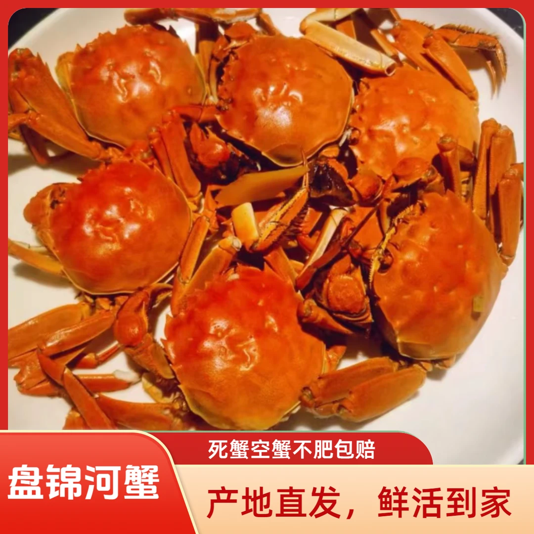【活蟹】盘锦河蟹公母组合【母蟹0.9-1.2两10只+公蟹1.4-1.6两10只】