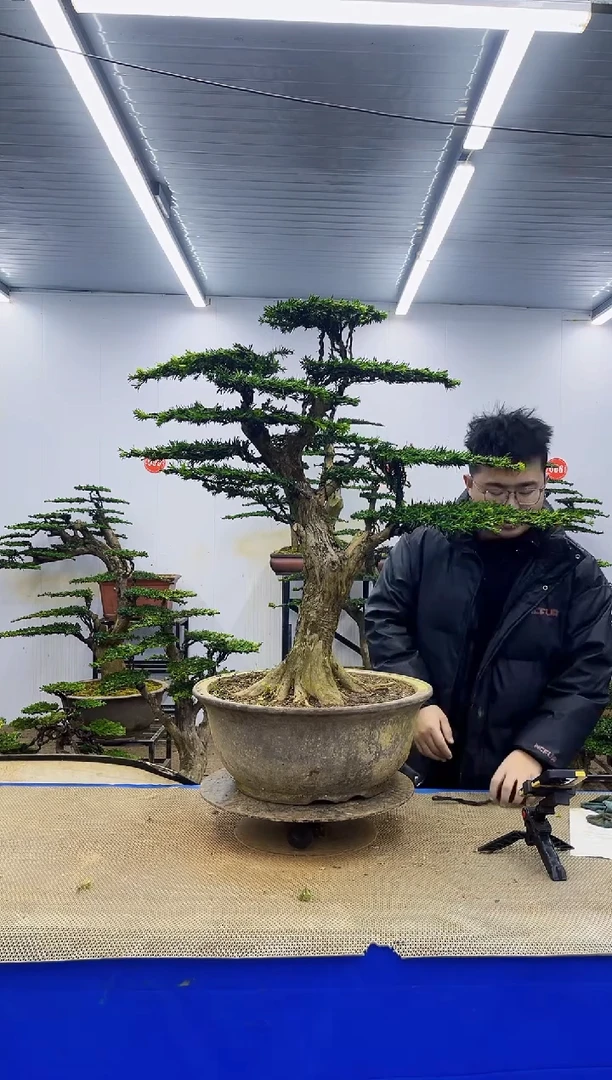 完全开放一物一拍，所见即所得