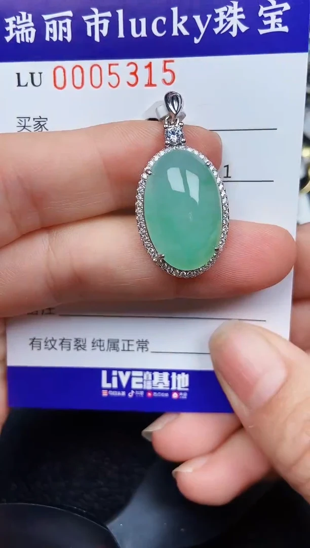 翡翠银S925镶嵌颈饰5315