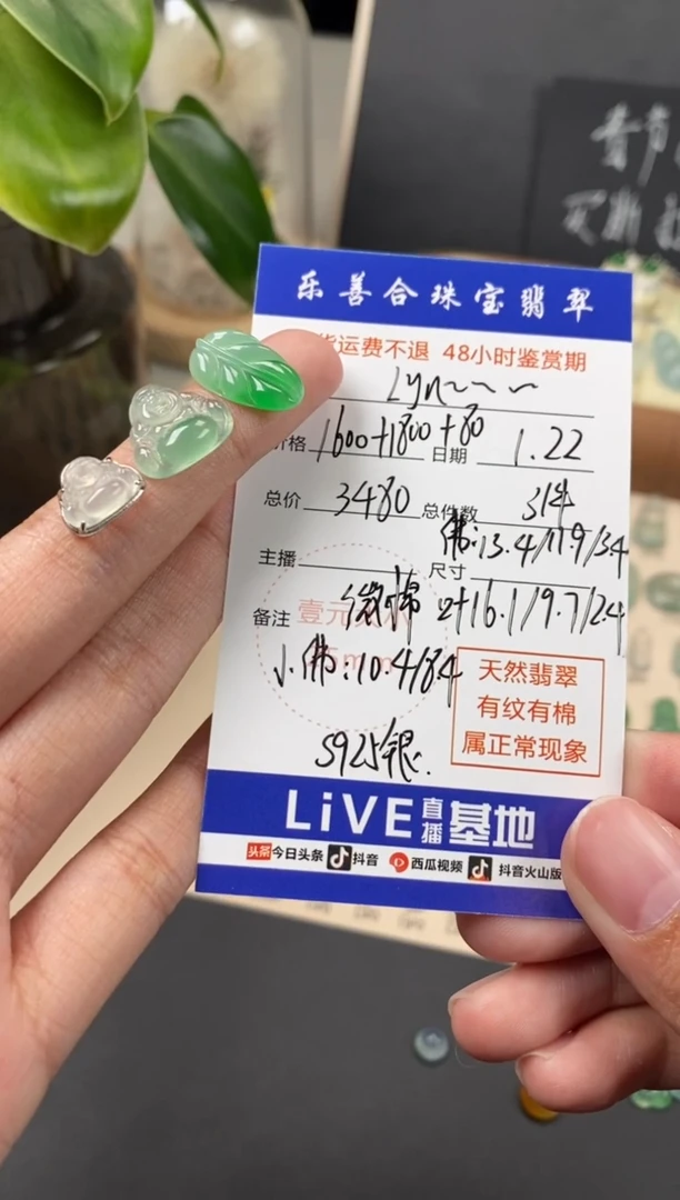 【闪购商品】翡翠颈饰银S925镶嵌翡翠冰种裸石