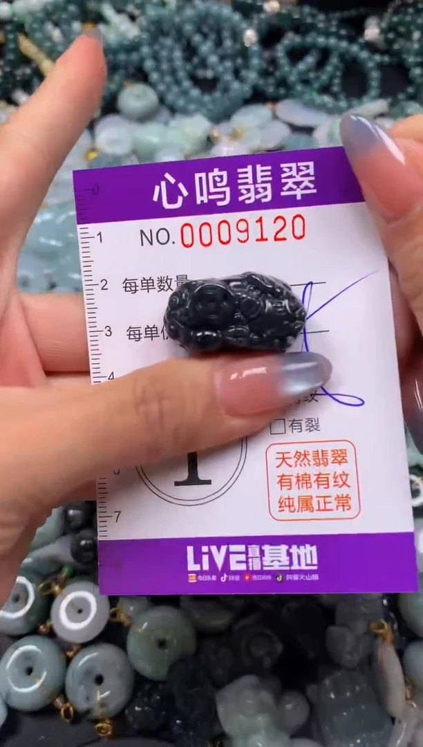颈饰未镶嵌翡翠闪购009120