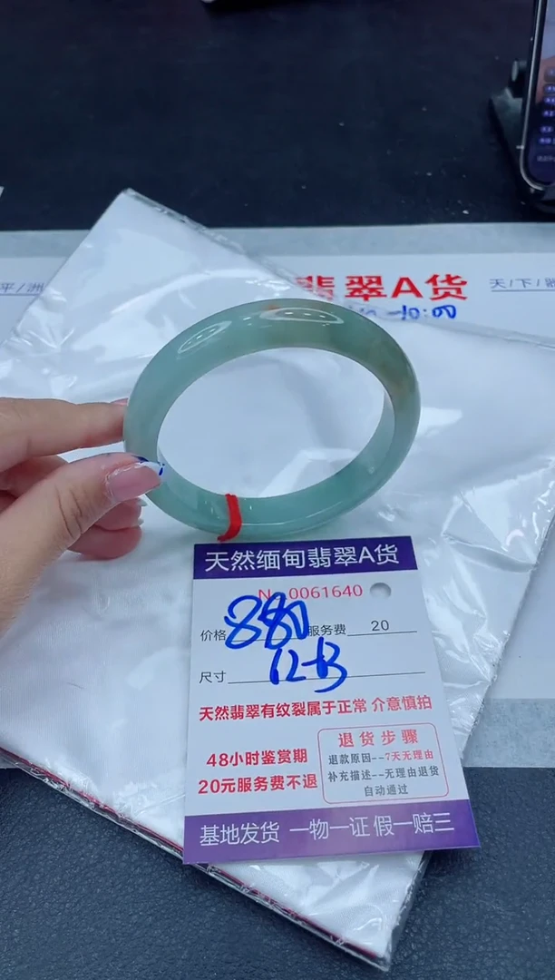 未镶嵌手镯翡翠880.00000