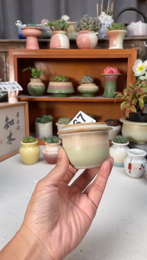 瓷片367小芳直播编号