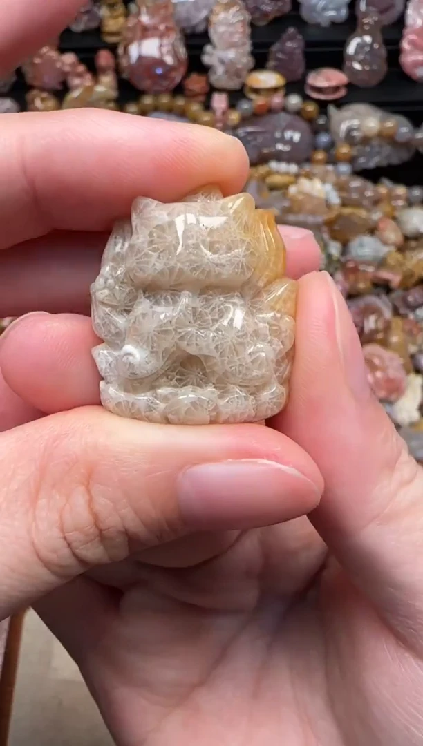 颈饰未镶嵌硅化珊瑚（珊瑚玉）453