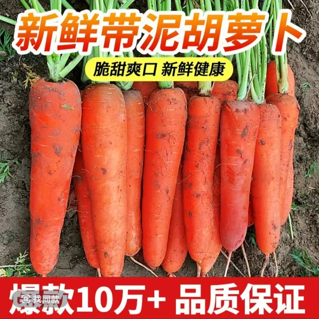 5斤装新鲜胡萝卜现拔现发山东潍坊农家自种沙土地红萝卜新鲜蔬菜