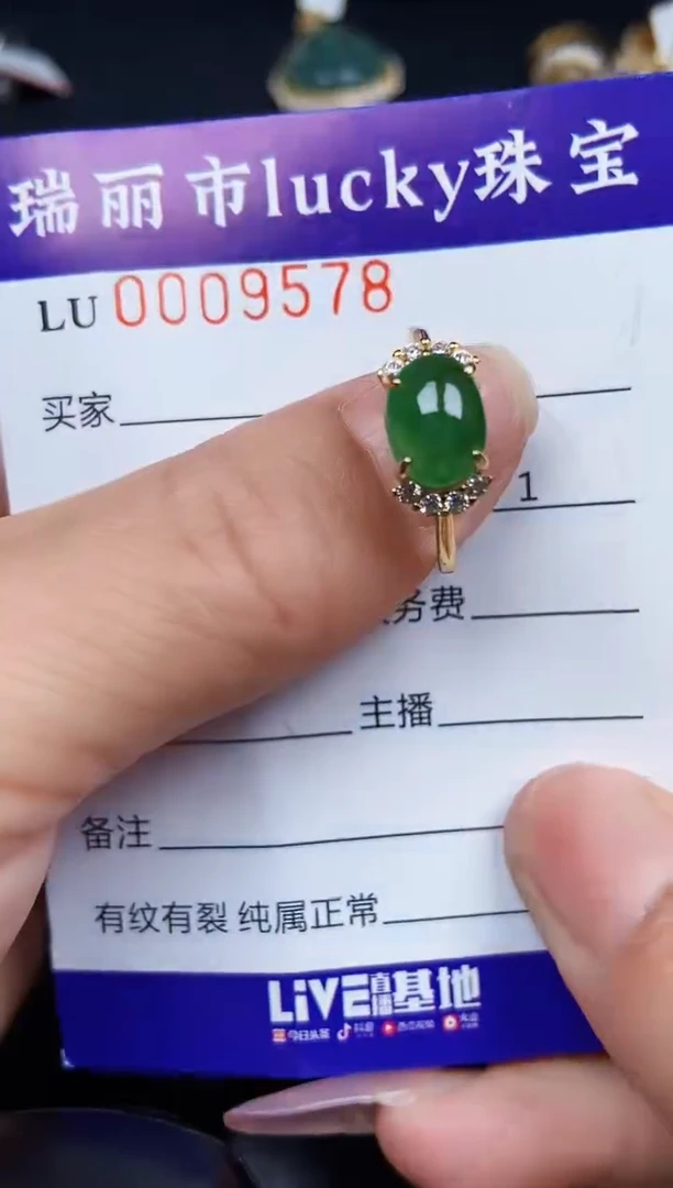 翡翠银S925镶嵌颈饰9578
