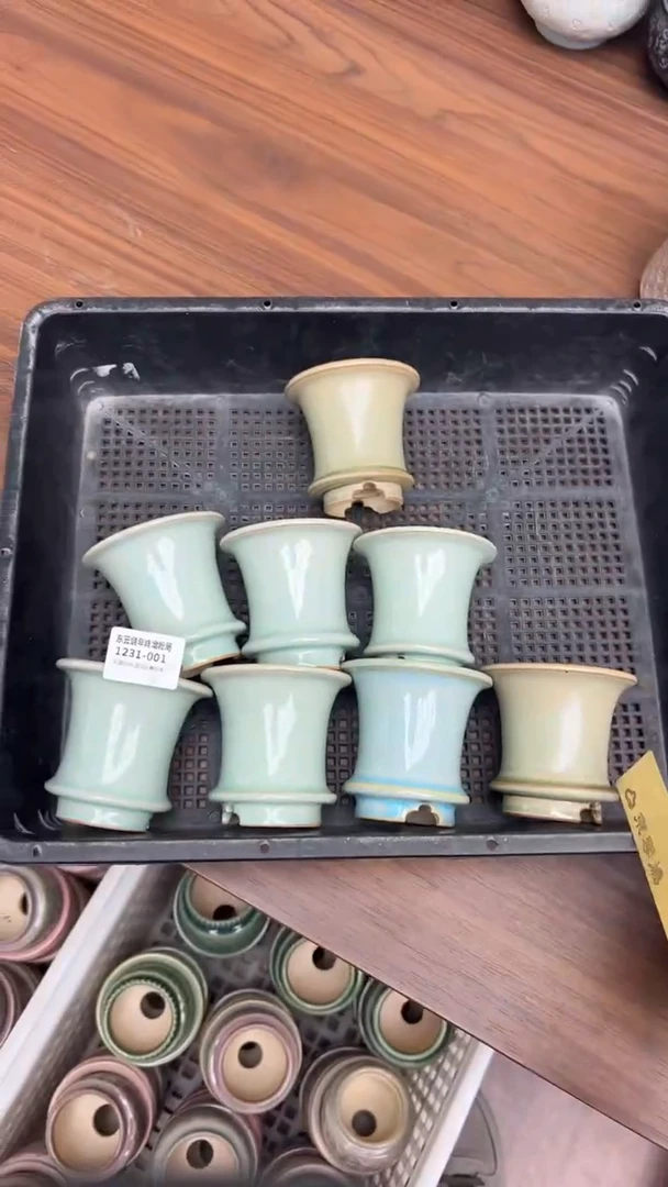 1231-001 内口5 混拍随机一只 开播福利