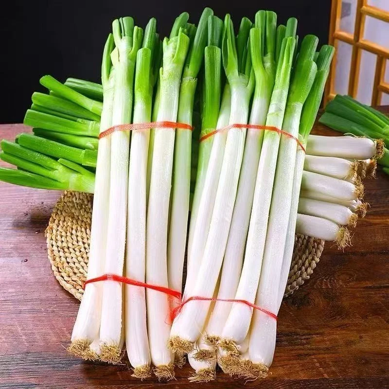 【无叶大葱】山东正宗新鲜铁杆大葱产地直发甜脆蔬菜大葱东北大葱
