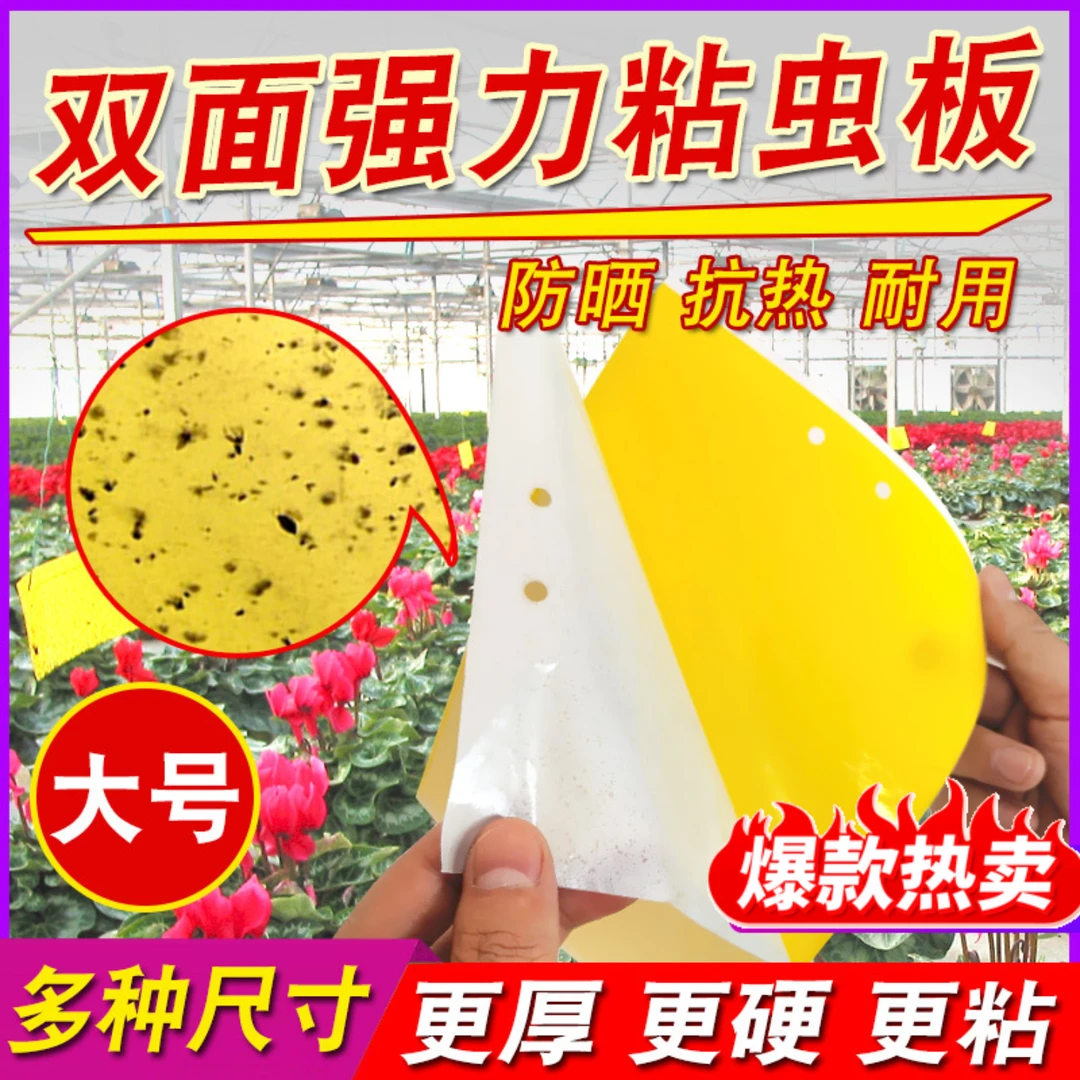 黄板双面粘虫板诱虫防潮防雨纸贴黄色灭小飞虫粘板果园蓟马大棚