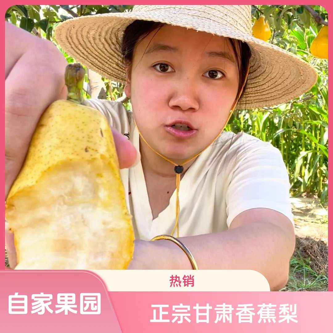 5斤装甘肃香蕉梨太婆梨新鲜应季水果正宗老品种老汉梨大头梨巴梨