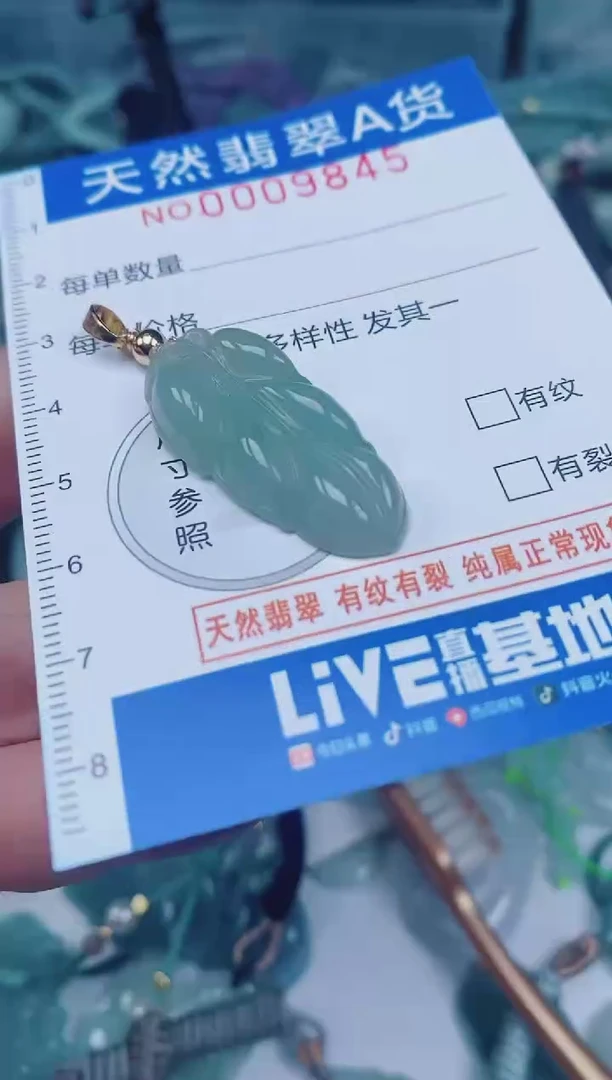 颈饰未镶嵌翡翠00009845