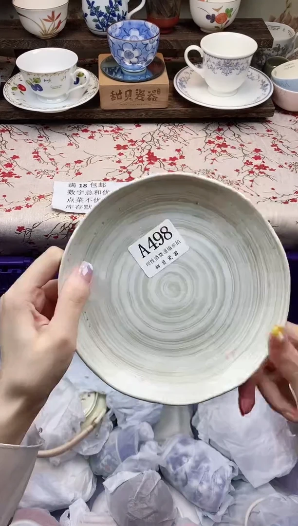 瓷片                A498