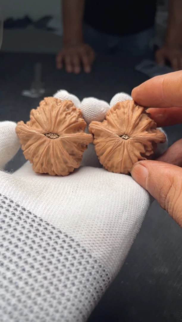把件文玩核桃a141  磨盘  43尺  对归