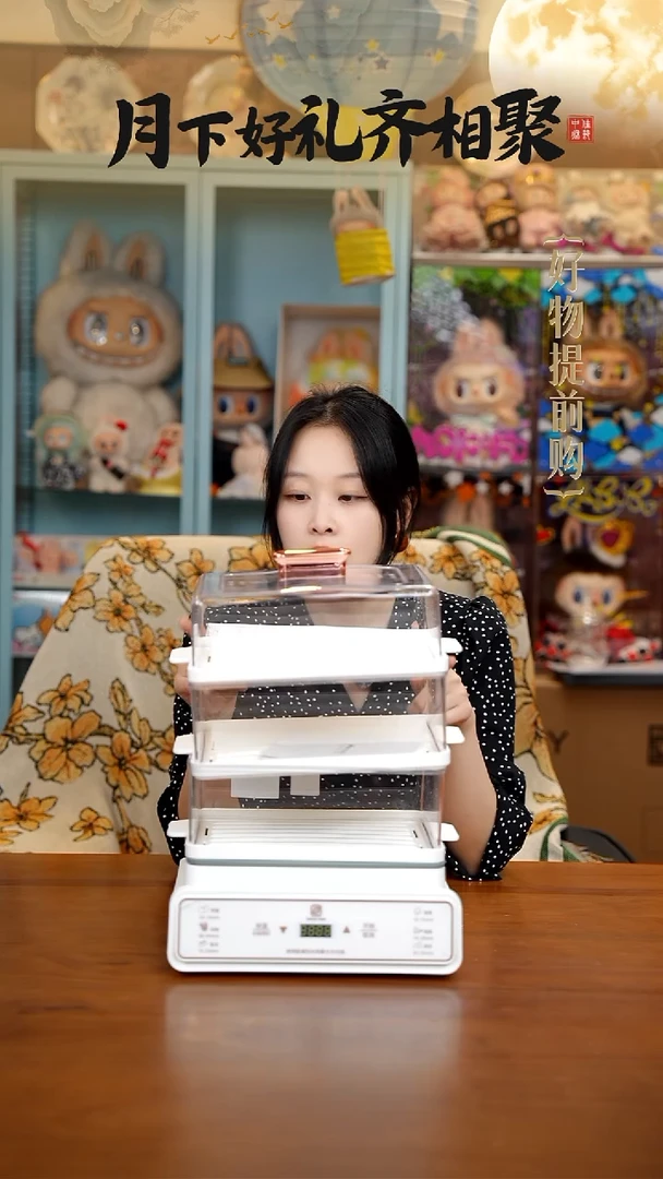 178-神某田KD9104多功能电蒸锅