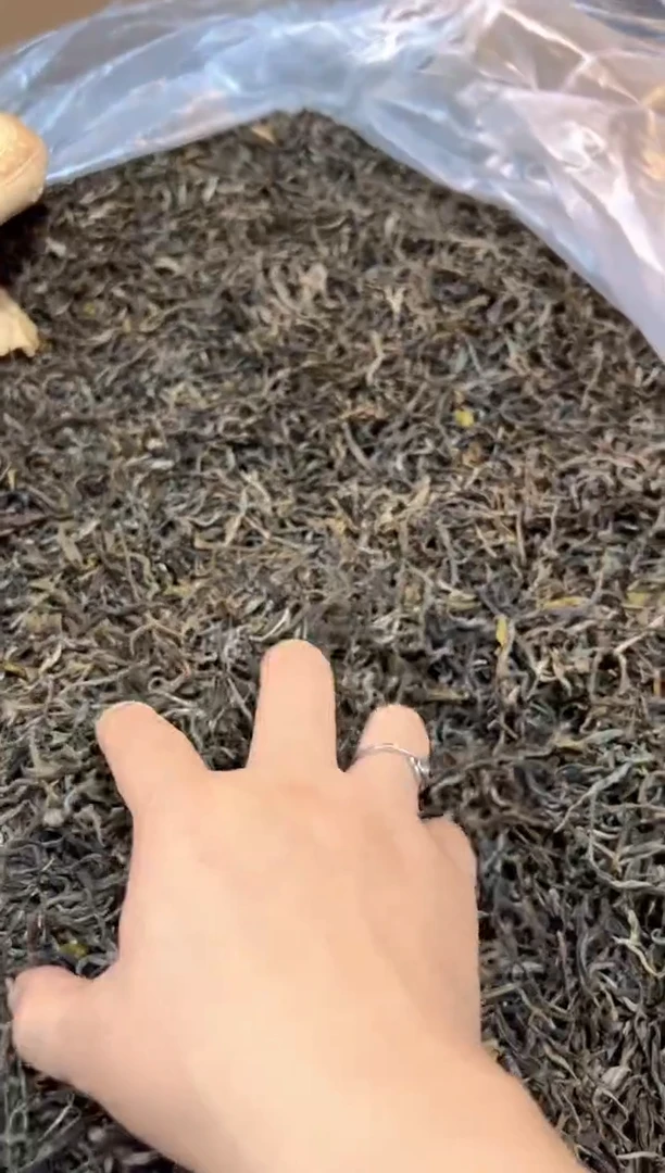 壶888号茶【白云推荐】猫500克