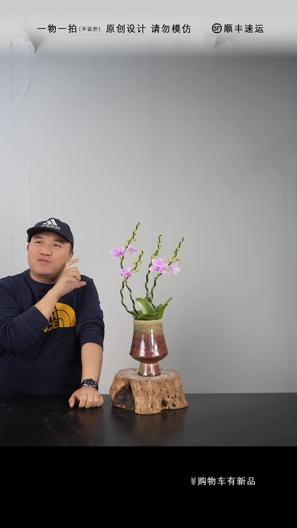 【闪购商品】022号链接【一物一拍】艺术盆景