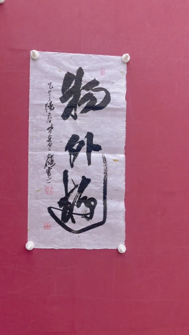 【闪购商品】书法物外游冯尚杰书法作品