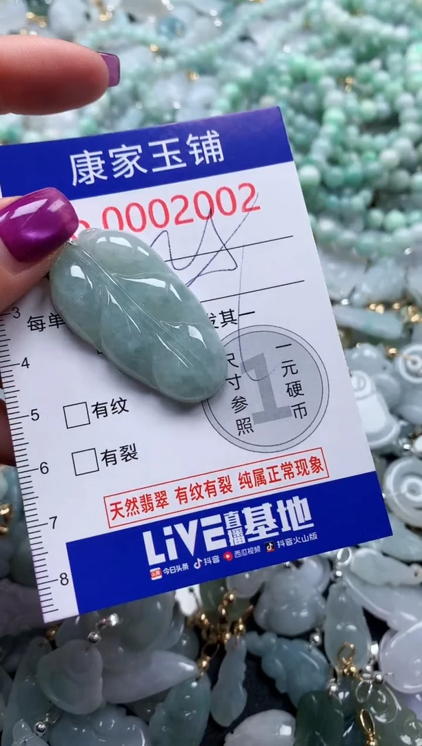 颈饰未镶嵌翡翠2002