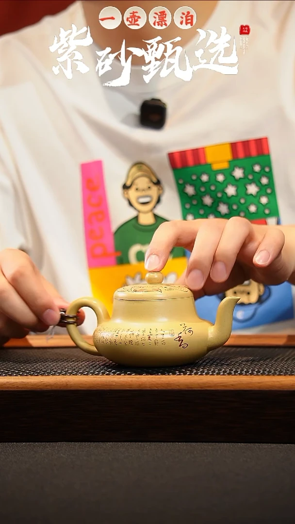 茶壶紫砂 一壶漂泊紫砂茶器