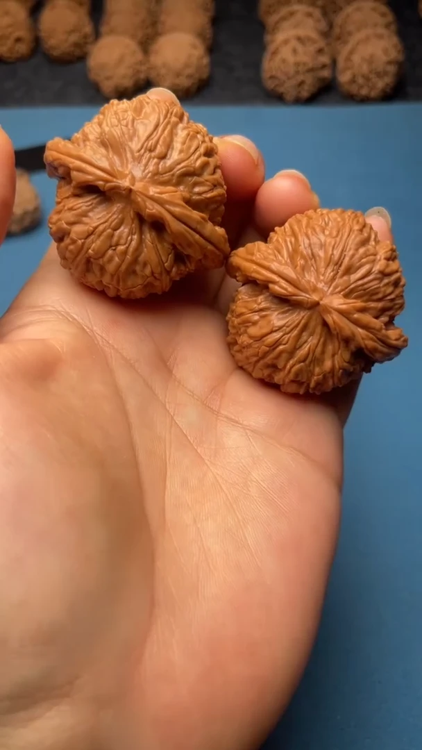 桃核把件w54  白狮子 41尺