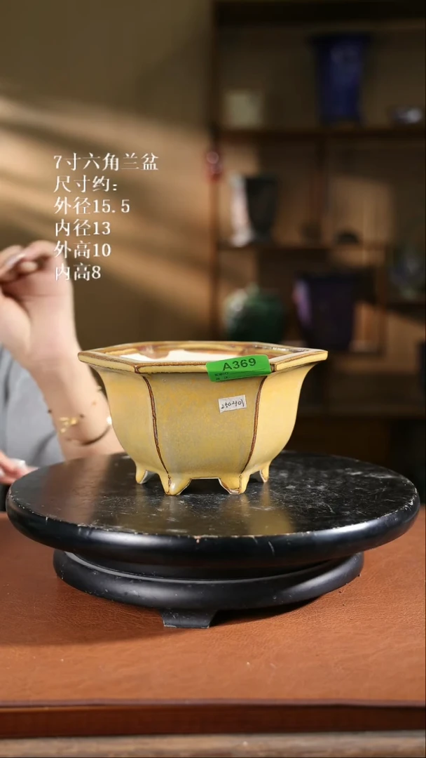 【限时买三免一活动】7寸六角兰盆369