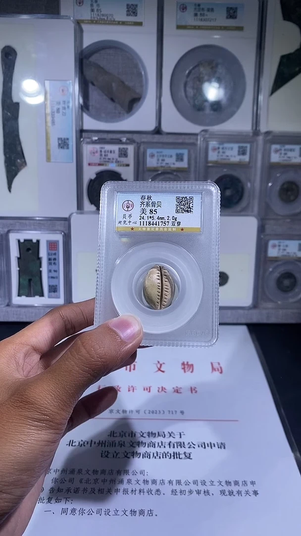 铜琪珍   骨贝骨贝一枚