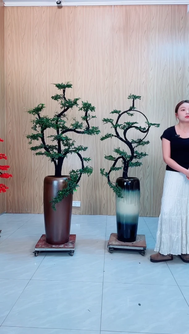 完全开放电****者左边广东小叶紫檀黑骨茶