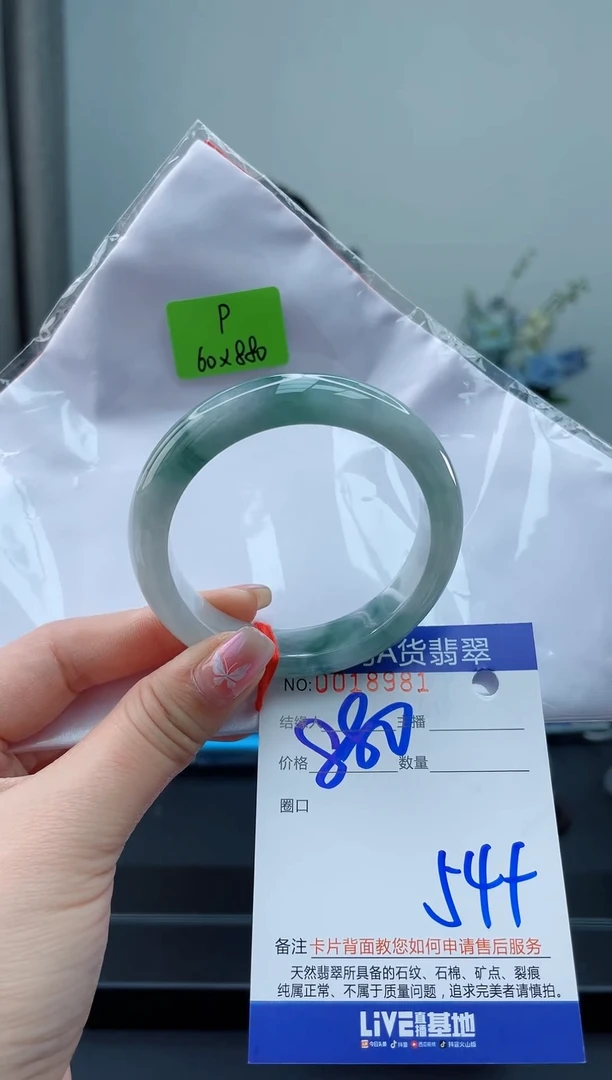 未镶嵌手镯翡翠1