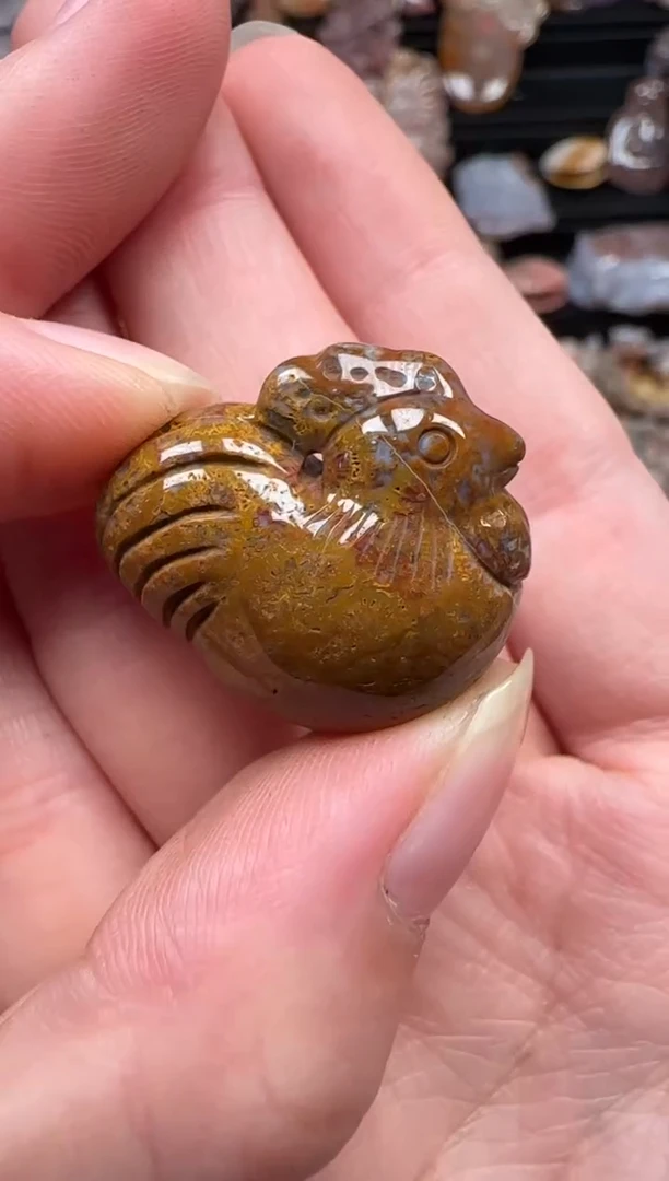 颈饰未镶嵌硅化珊瑚（珊瑚玉）203