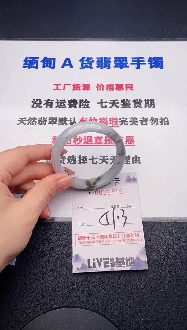 未镶嵌手镯翡翠19