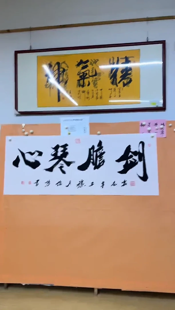 书法剑胆琴心作品