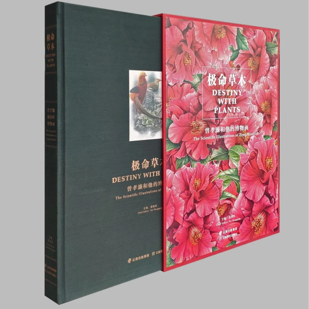 《极命草木——曾孝濂和他的博物画》