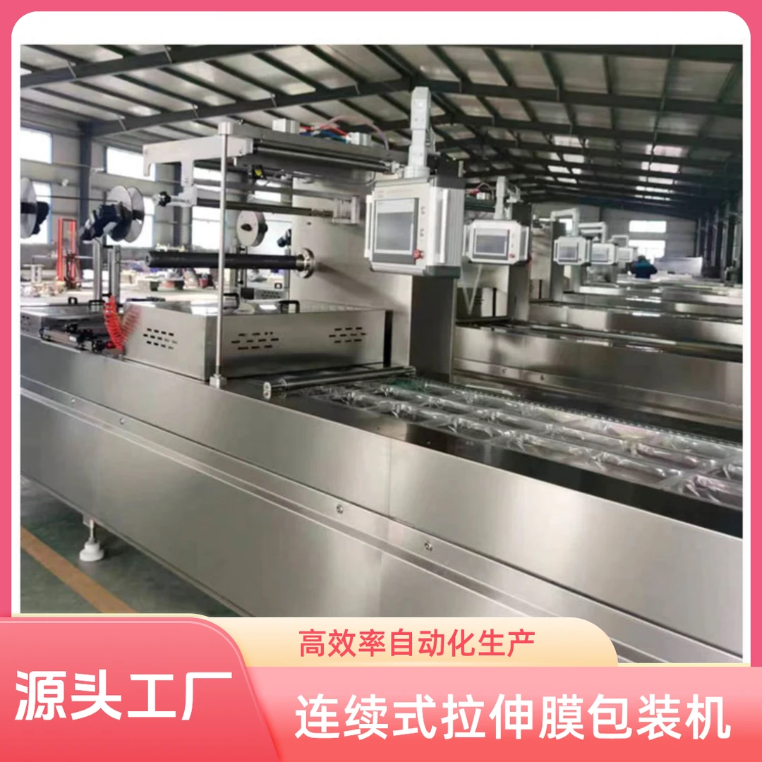 粽子真空包装机 自动连续拉伸膜封口机 麻辣海鲜真空包装机