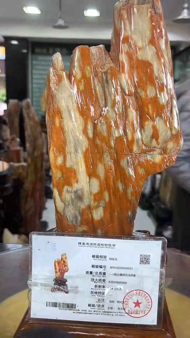 缅甸天然树化玉精品摆件
