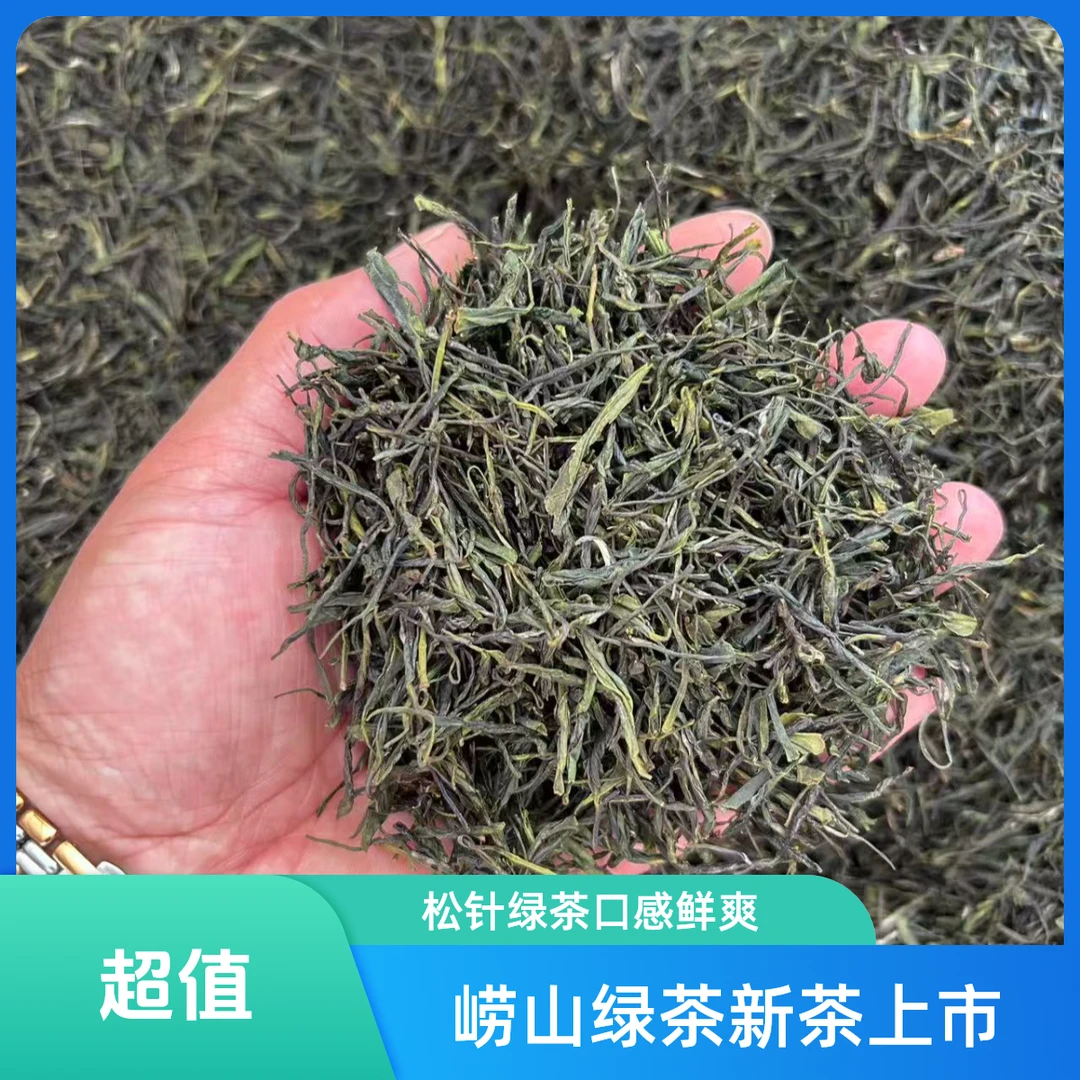 崂山松针绿茶  2025年新茶  崂山绿茶  春茶  袋装  每袋125克