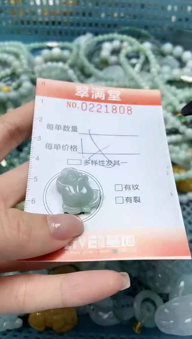 颈饰未镶嵌翡翠闪购0221808