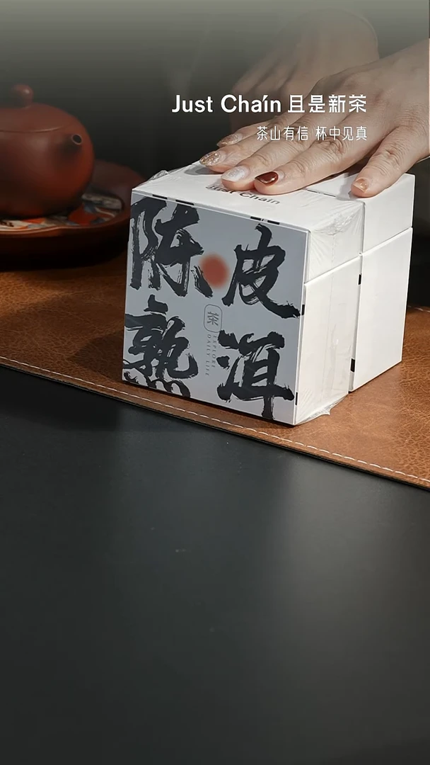 陈皮熟洱 新会陈皮 门店热销 2盒16片