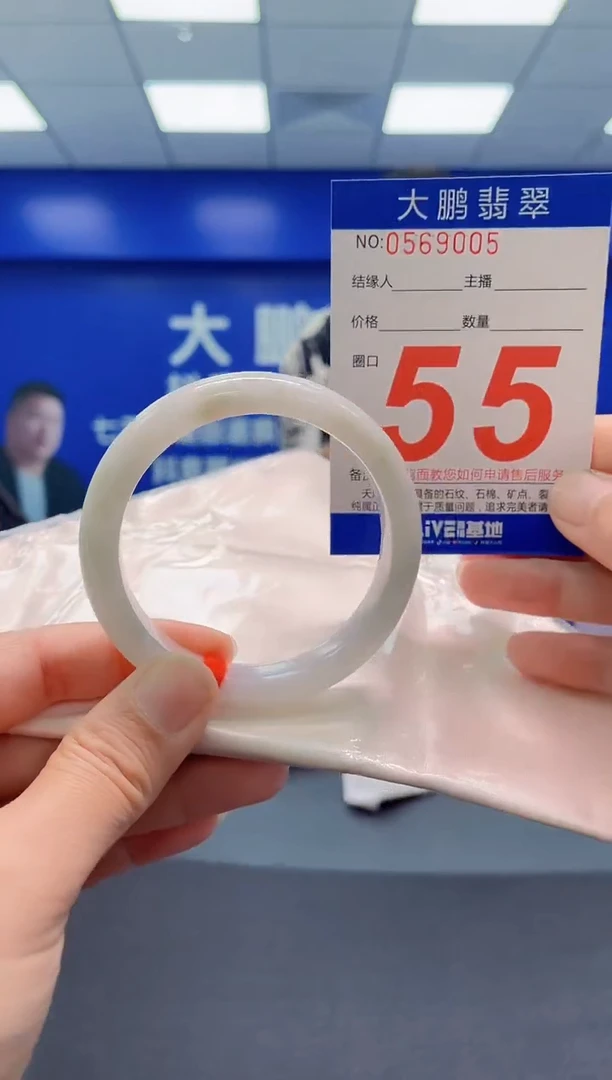 未镶嵌手镯翡翠AAAAAAAAA
