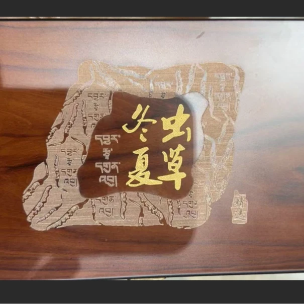 [生生专属]冬虫夏草粉    [拍一发二]
