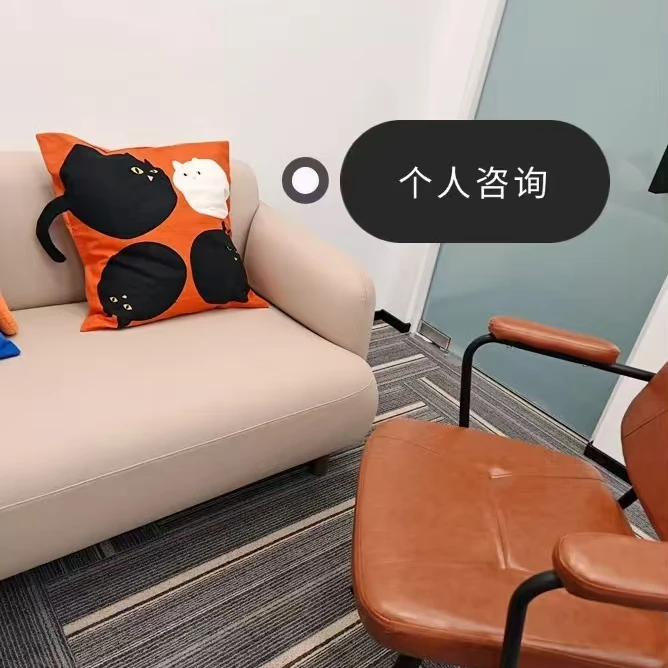线上/线下1对1咨询/测试