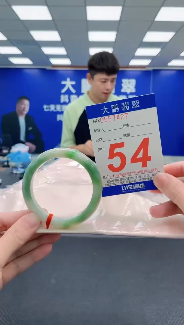 未镶嵌手镯翡翠AAAAAAAAA