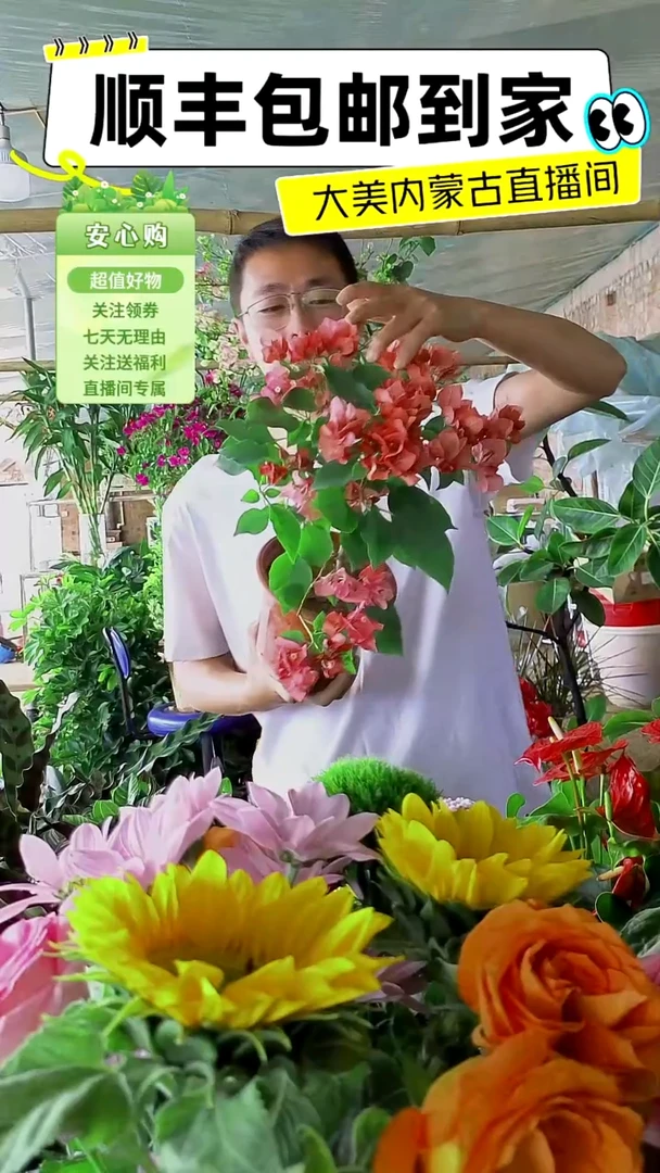 完全开放不甜西瓜