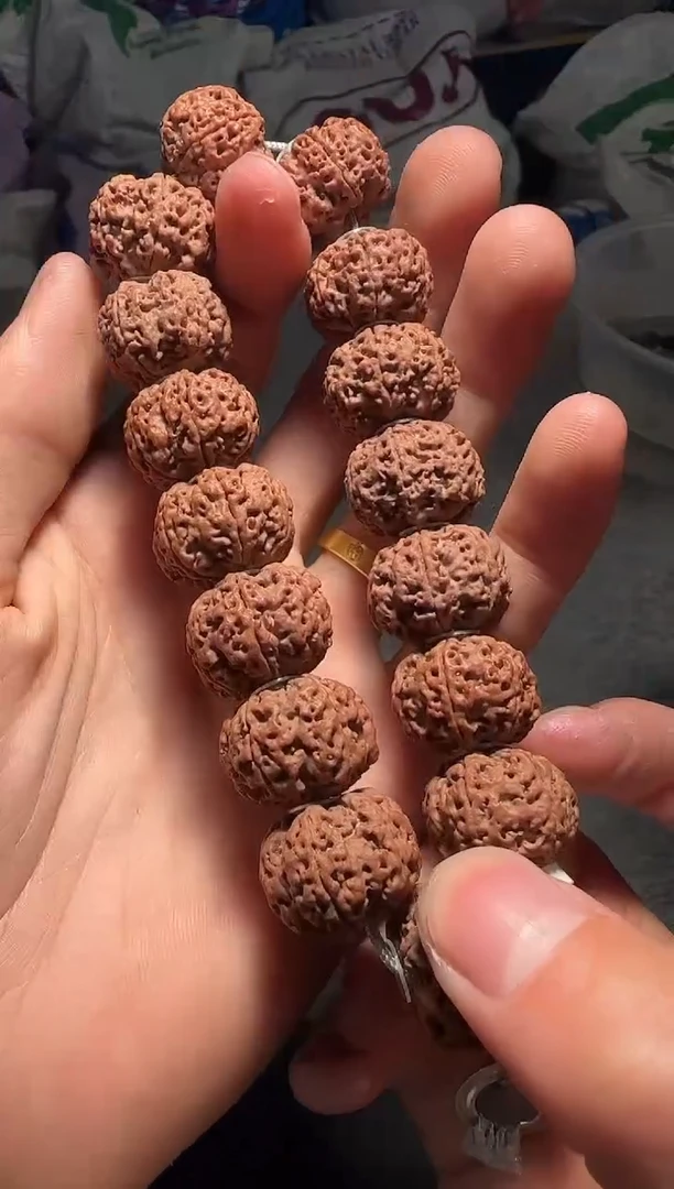 手串金刚菩提毕业级细纹满天星六瓣20-mm