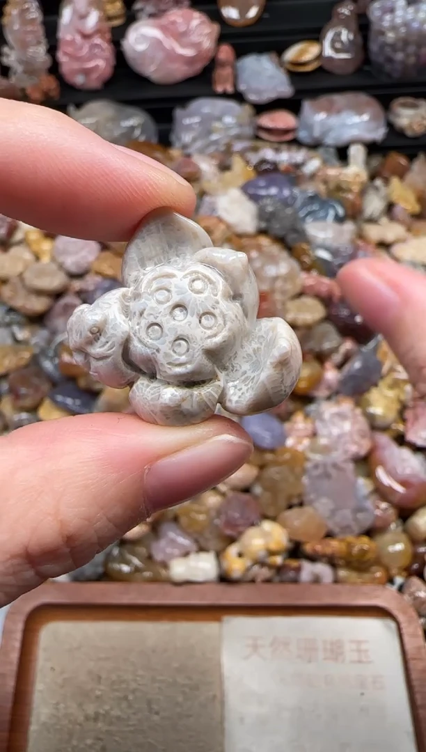 颈饰未镶嵌硅化珊瑚（珊瑚玉）830