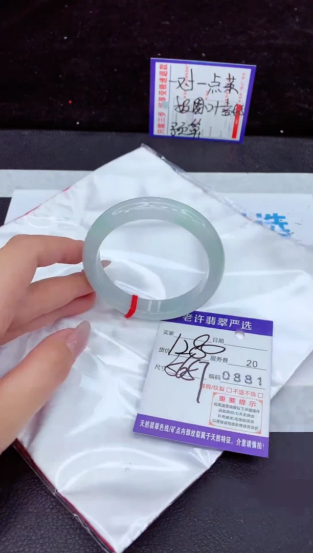 未镶嵌手镯翡翠11